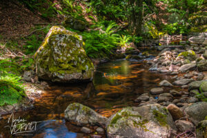 Rivière la Veyruègne (pose longue), Saint-Pierreville (Ardèche)