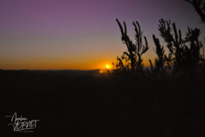 Levé de soleil sur l’Ardèche, Saint-Pierreville (Ardèche)