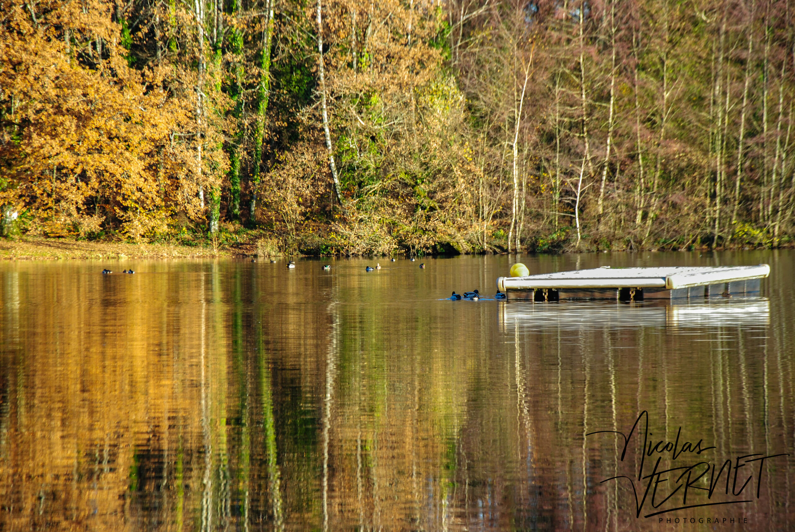 Lac du Coiroux, Aubazines (Corrèze)