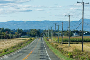 Route de Kamouraska et champs moissonnés, Canada