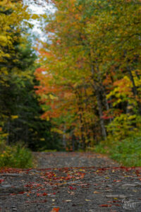 Chemin de randonnée du Pic Champlain à l'automne, parc national du Bic, Saint-Fabien, Canada