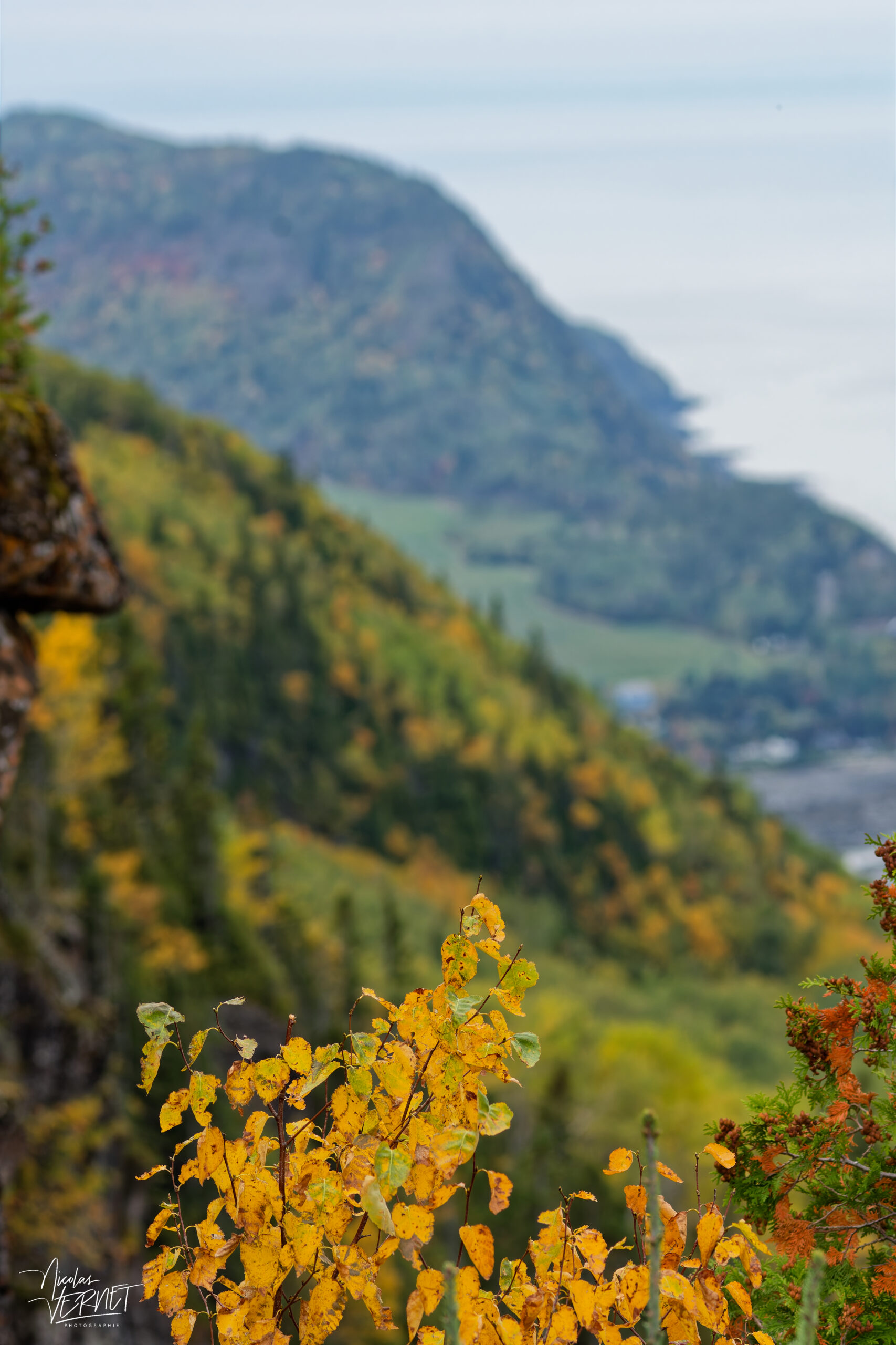 Vue depuis le belvédère du Pic Champlain à l'automne, parc national du Bic, Saint-Fabien, Canada