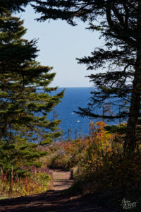 Sentier sur l'Île Bonaventure, Percé, Canada