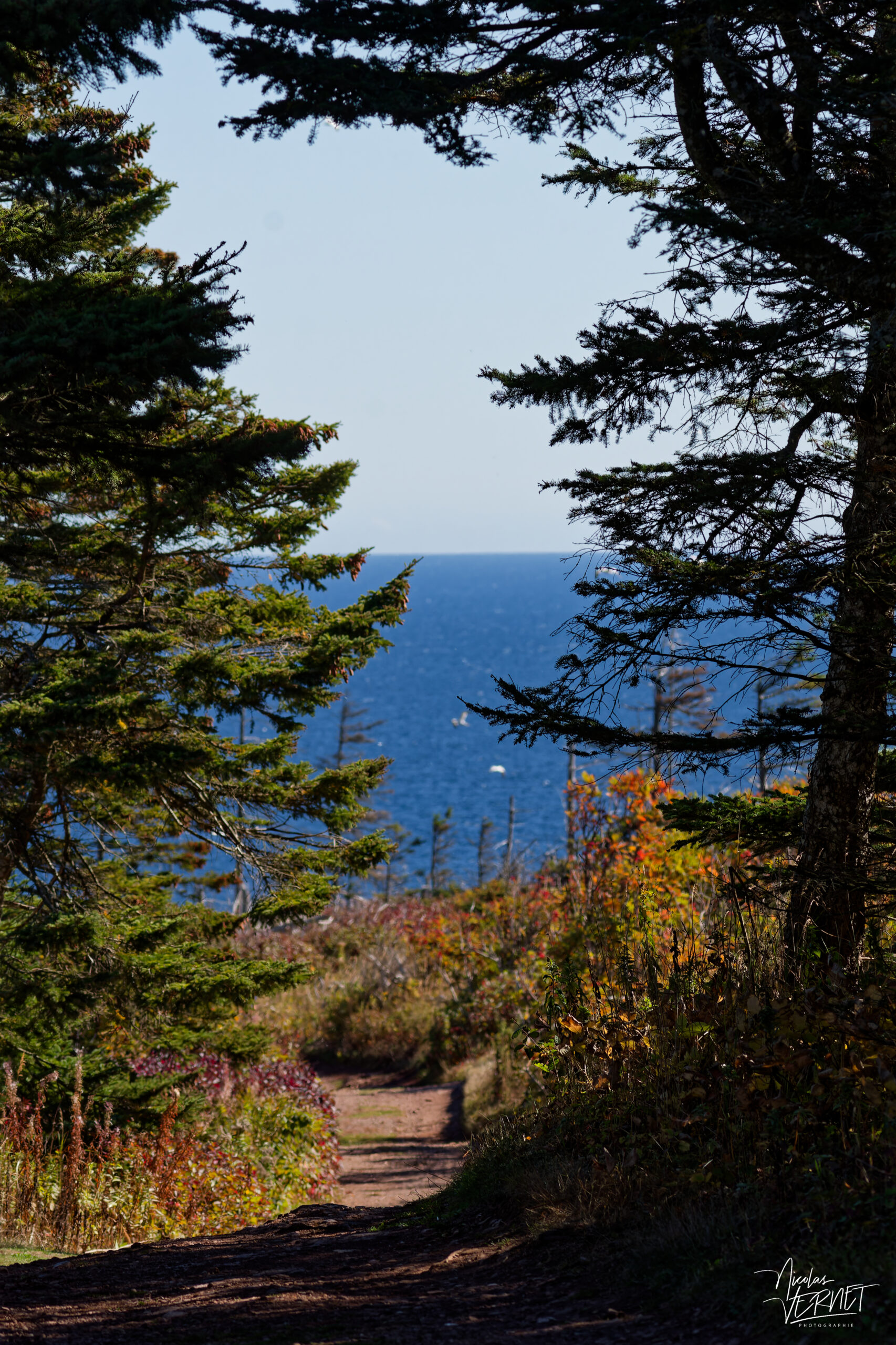 Sentier sur l'Île Bonaventure, Percé, Canada