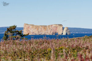 Le Rocher Percé vu depuis l'Île Bonaventure, Percé, Canada