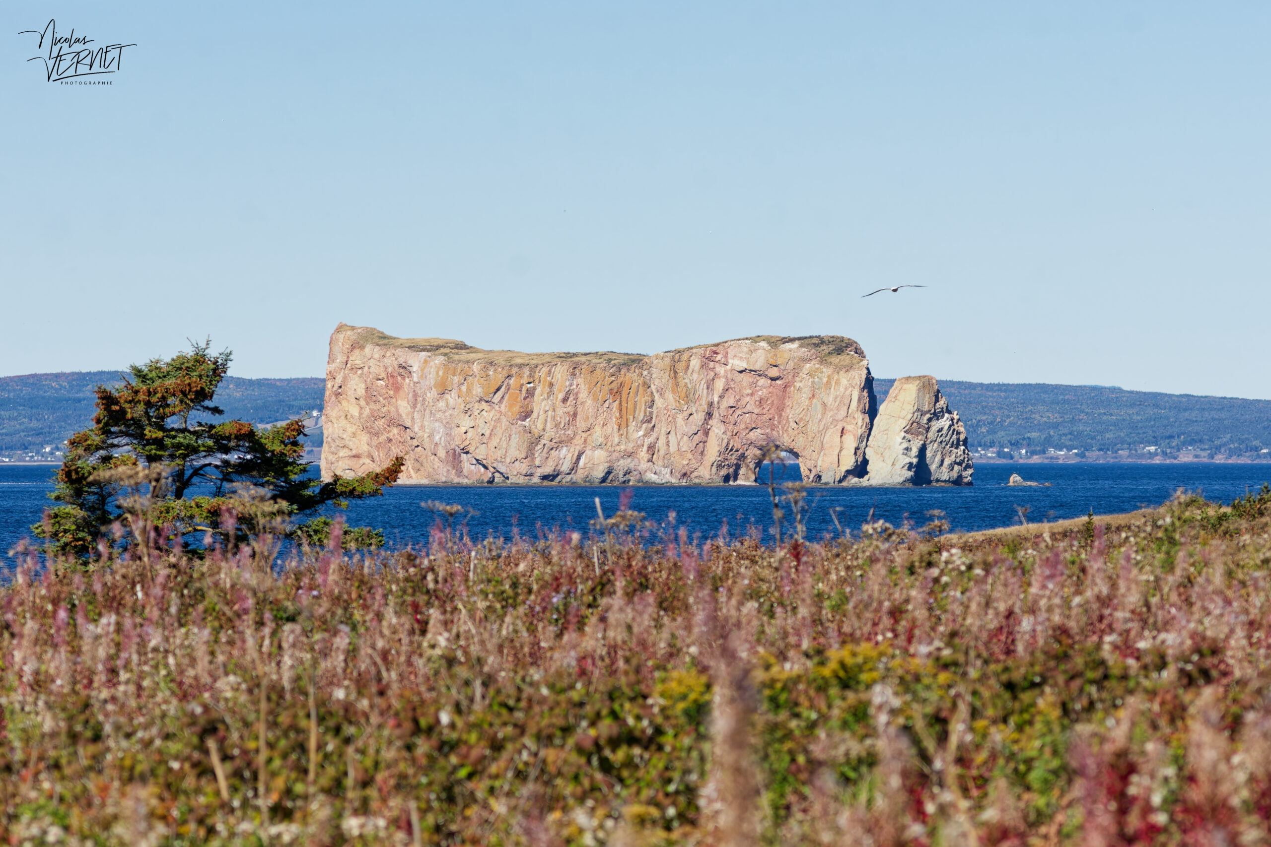 Le Rocher Percé vu depuis l'Île Bonaventure, Percé, Canada