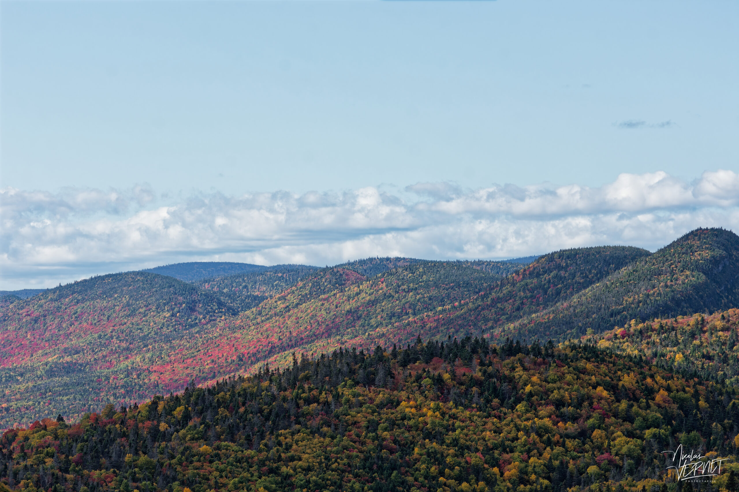 Couleurs d'automne sur le Mont Saint-Alban, parc national Forillon, La Côte-de-Gaspé, Canada