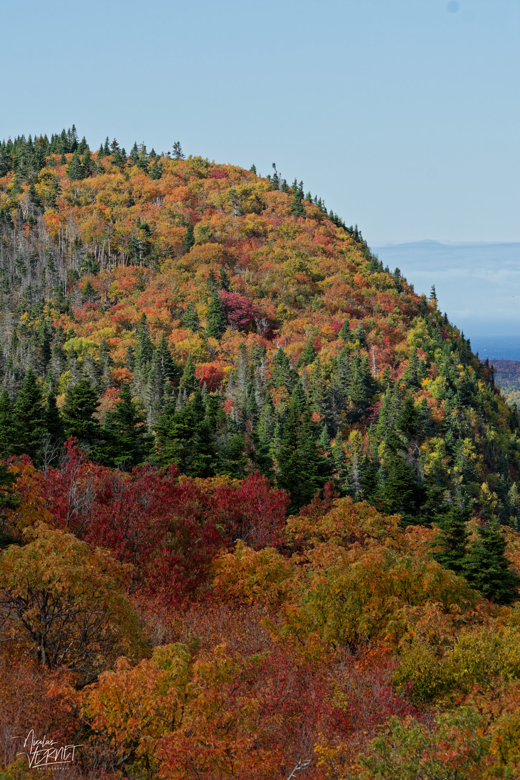 Couleurs d'automne sur le Mont Saint-Alban, parc national Forillon, La Côte-de-Gaspé, Canada