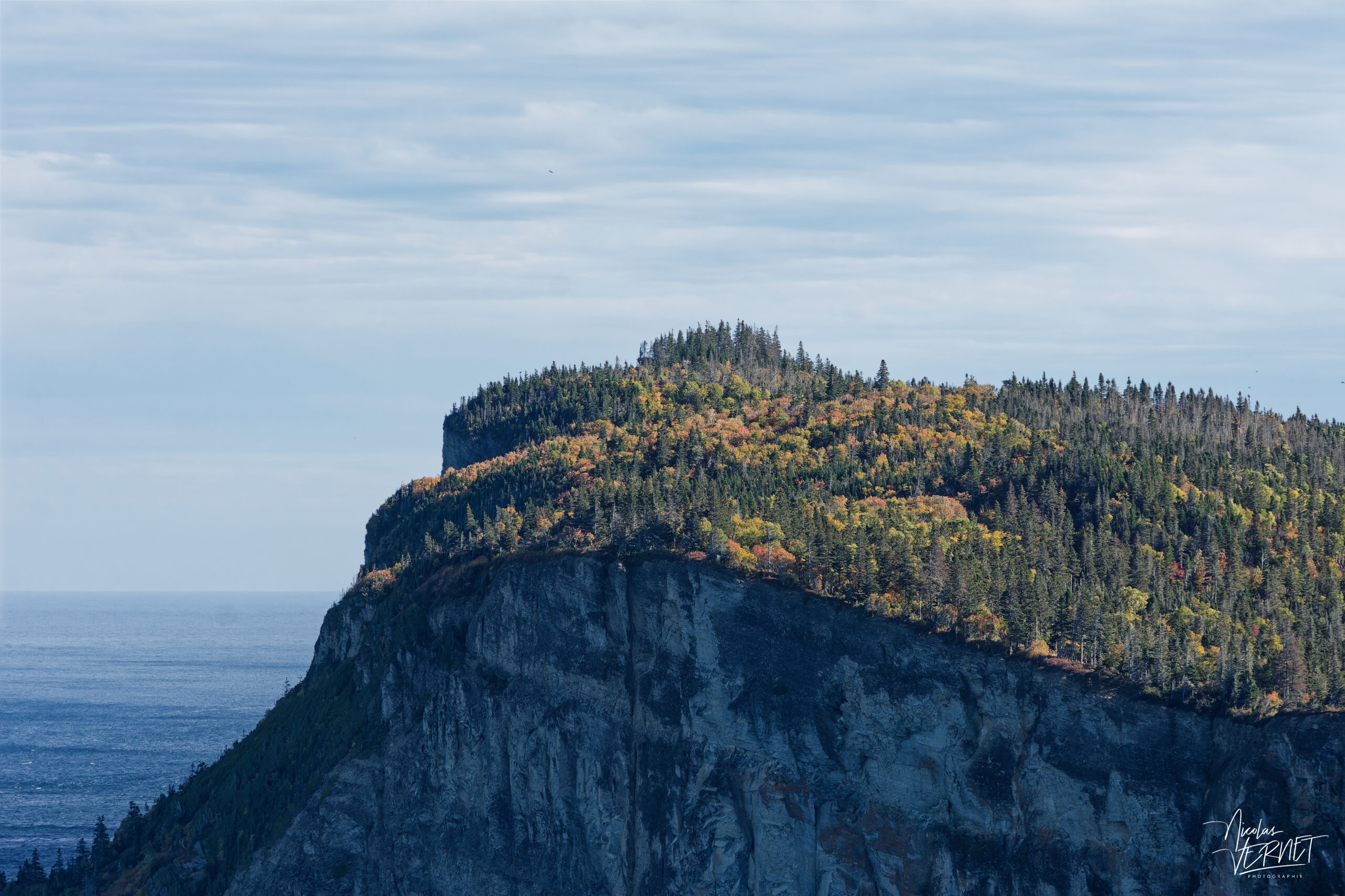 Couleurs d'automne sur les falaises de Cap-Gaspé, parc national Forillon, La Côte-de-Gaspé, Canada