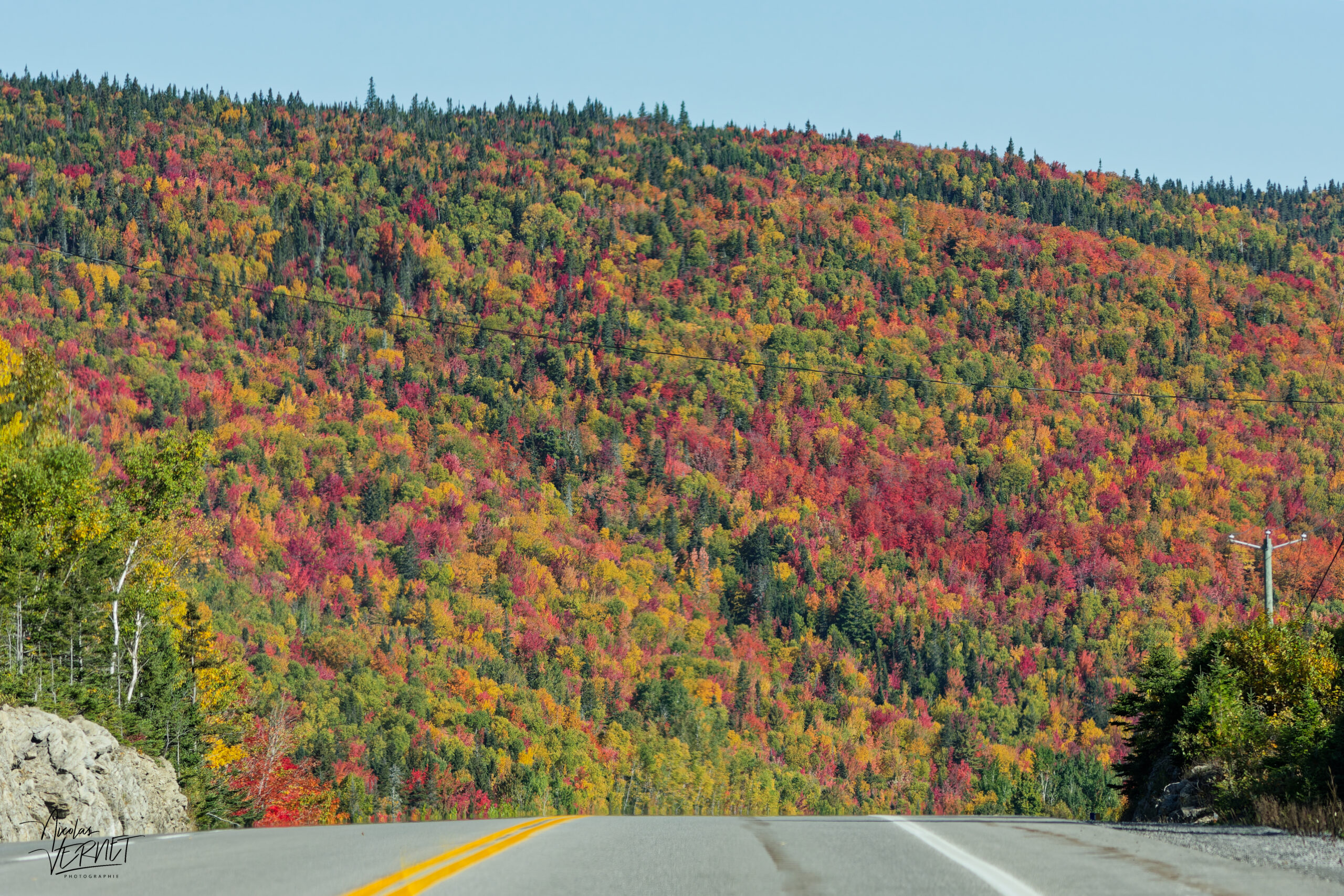 Route face à une colline aux couleurs d'automne, Montée Laurencelle, Gaspé, Canada