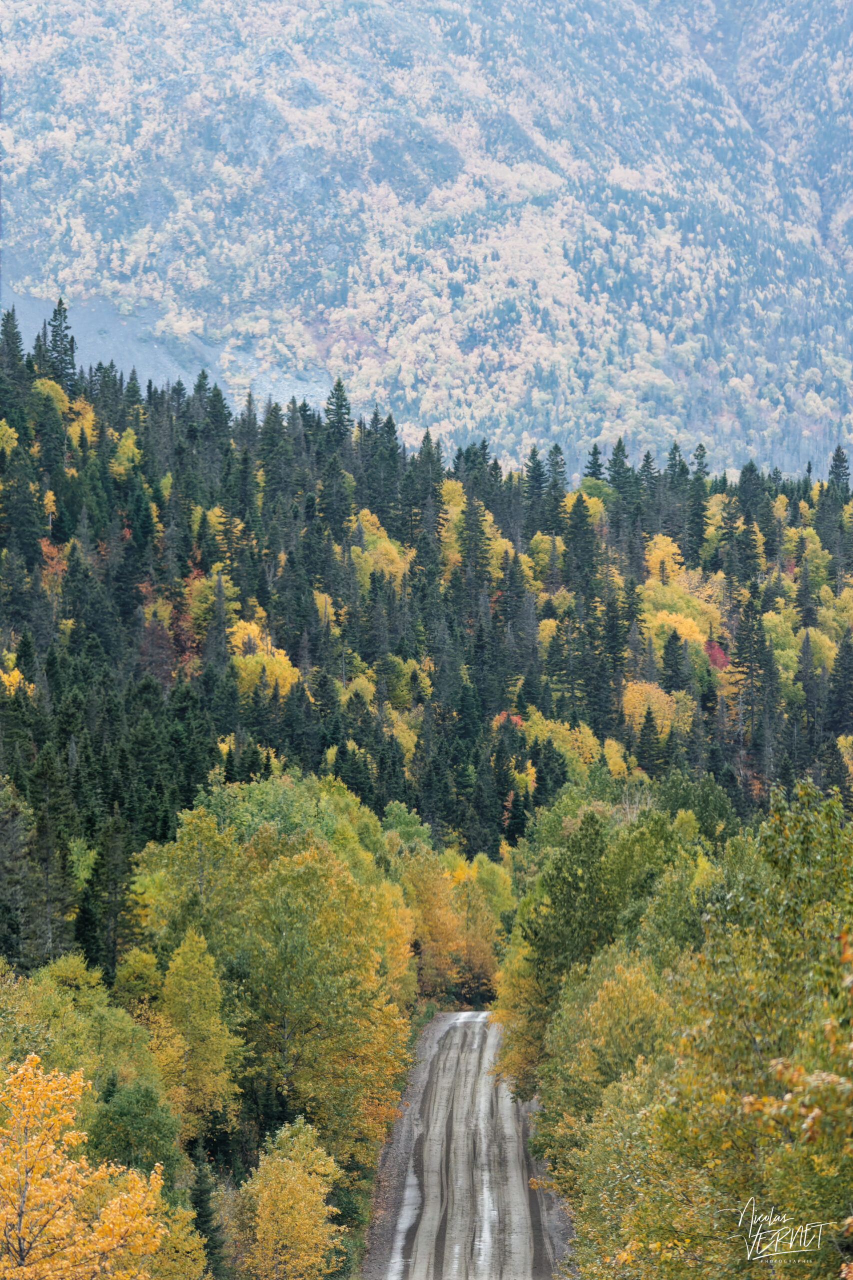 Chemin de ceinture des Monts McGerrigle en automne, La Haute-Gaspésie, Canada