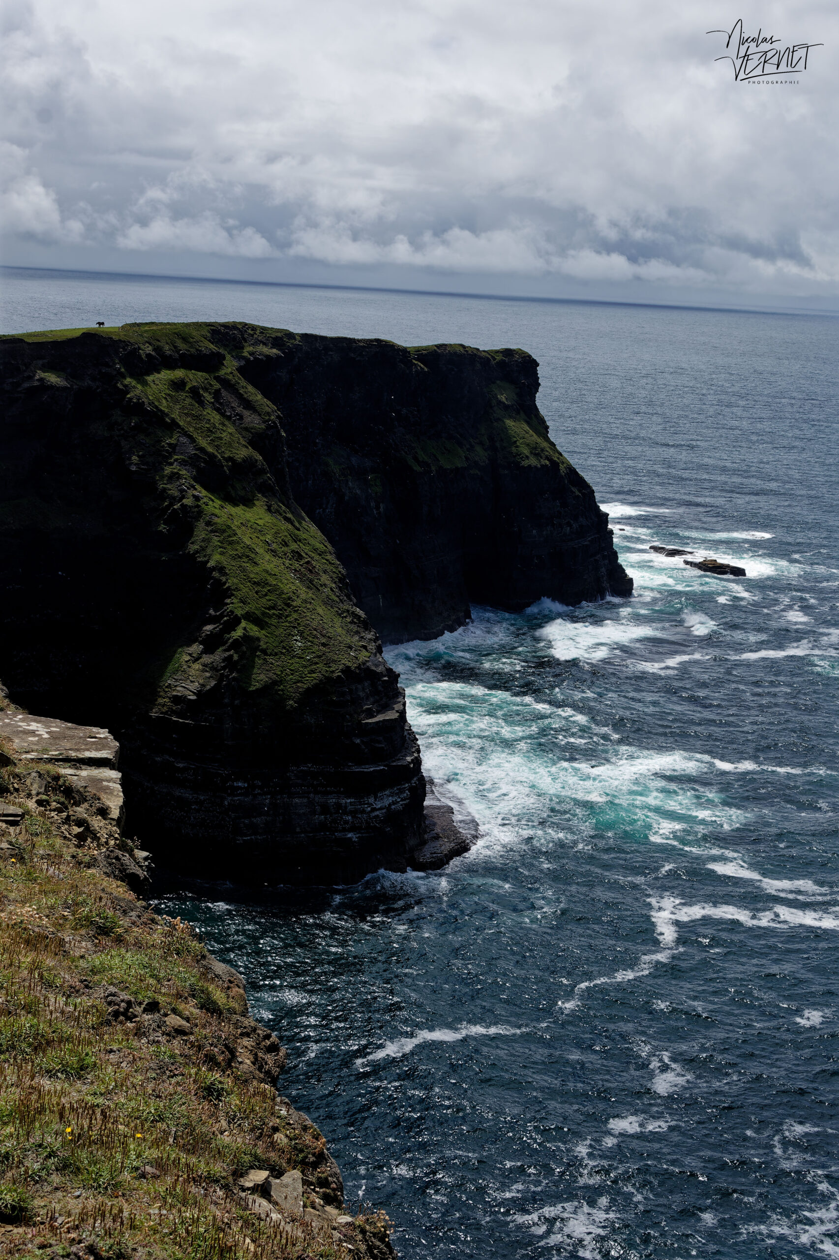 Falaises de Moher (Cliffs of Moher), Ballylaan, Co. Clare, Irlande