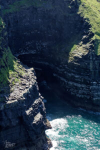 Guillemots de Troïl (Uria aalge) et mouettes tridactyle (Rissa tridactyla) sur les falaises de Moher (Cliffs of Moher), Ballylaan, Co. Clare, Irlande