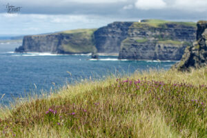 Falaises de Moher (Cliffs of Moher), Ballylaan, Co. Clare, Irlande
