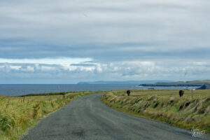 Route des falaises de Kilkee, Co. Clare, Irlande