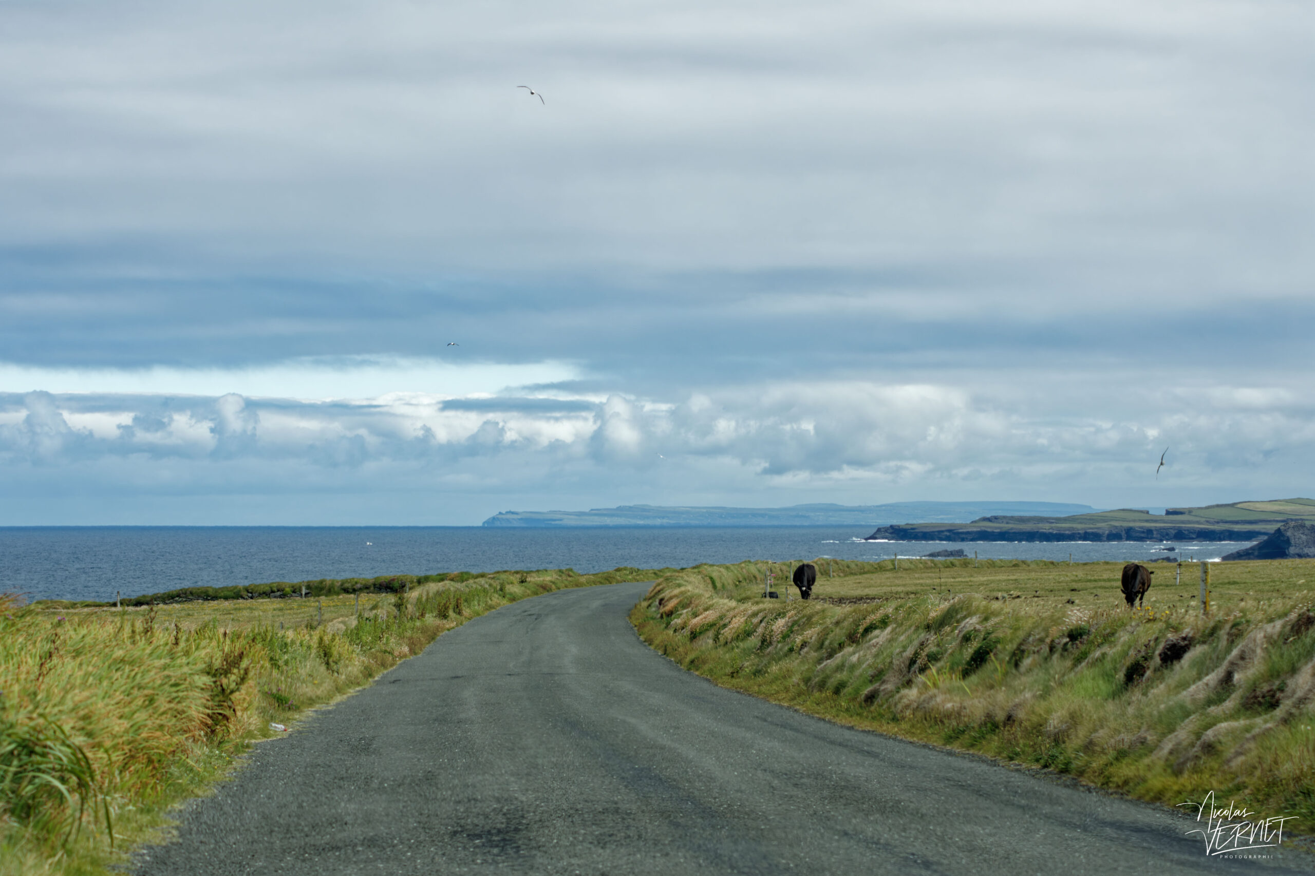 Route des falaises de Kilkee, Co. Clare, Irlande