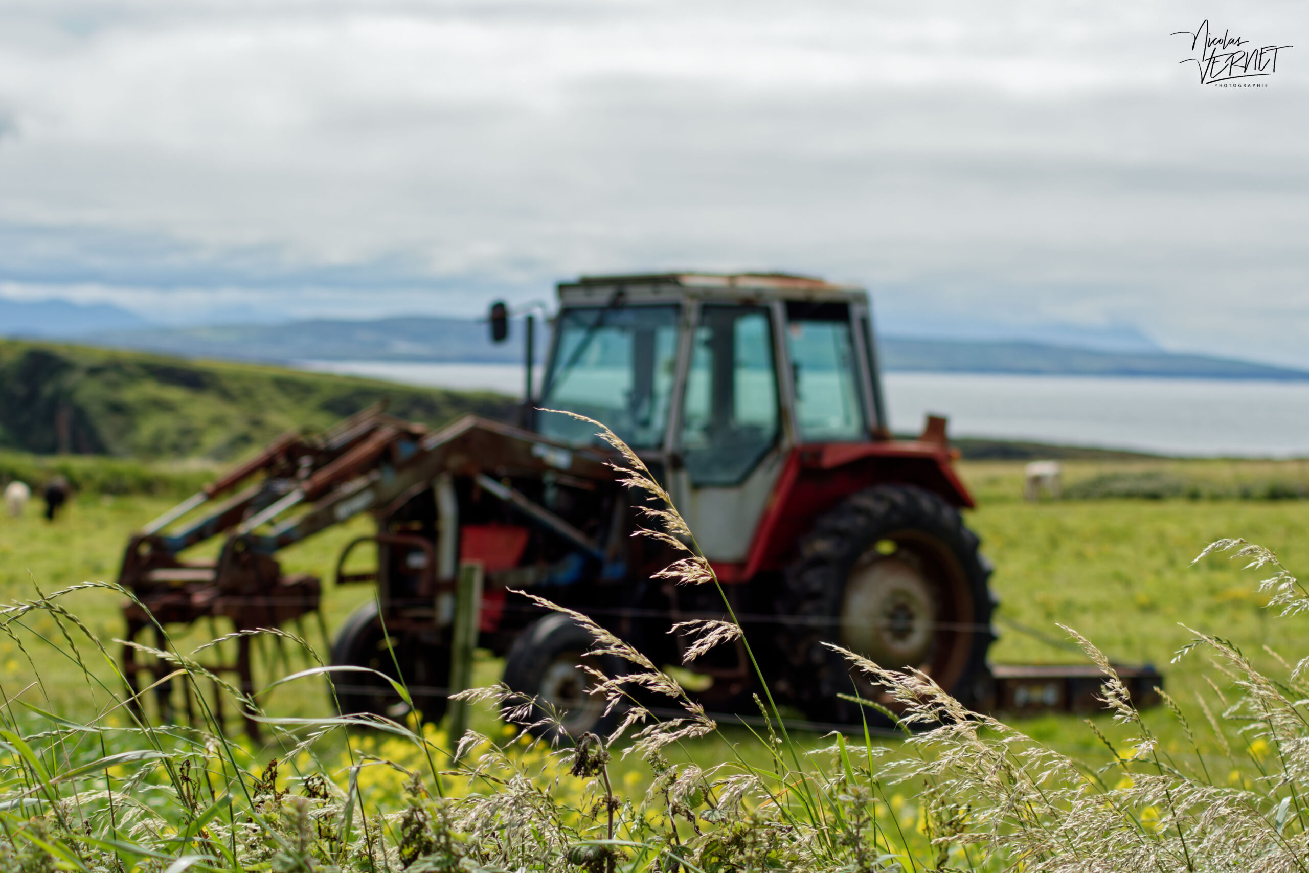 Tracteur ancien dans un pré, Ballybunion, Co. Kerry, Irlande