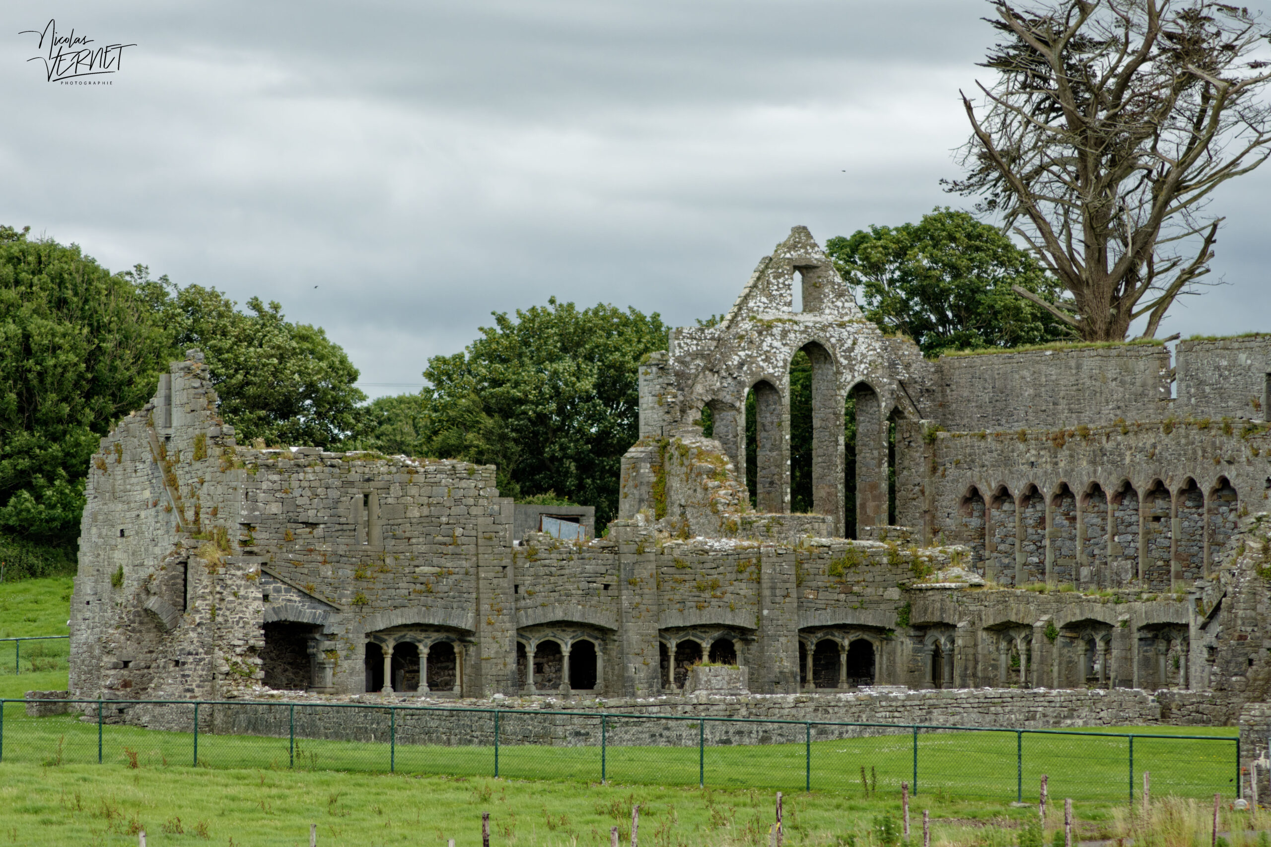 Ruines du prieuré d'Ardfert, Co. Kerry, Irlande