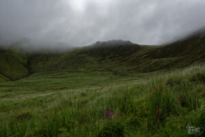 Montagne de Gortaleen, Beheenagh, Co. Kerry, Irlande