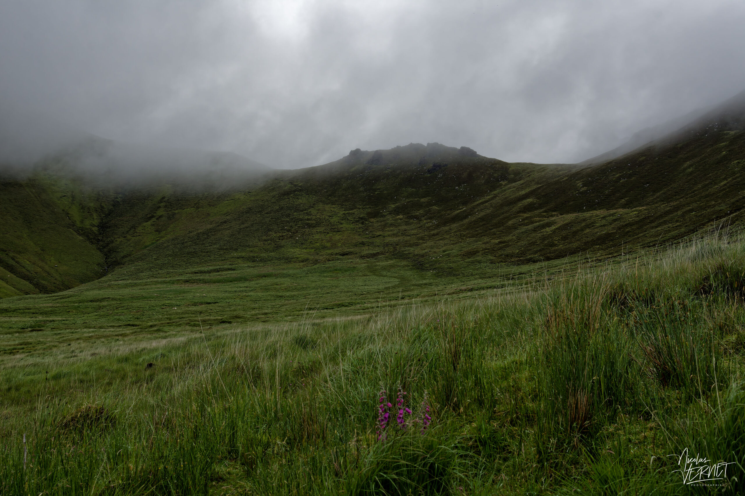 Montagne de Gortaleen, Beheenagh, Co. Kerry, Irlande