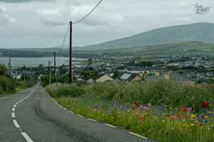 Vue sur Dingle depuis les hauteurs, Co. Kerry, Irlande