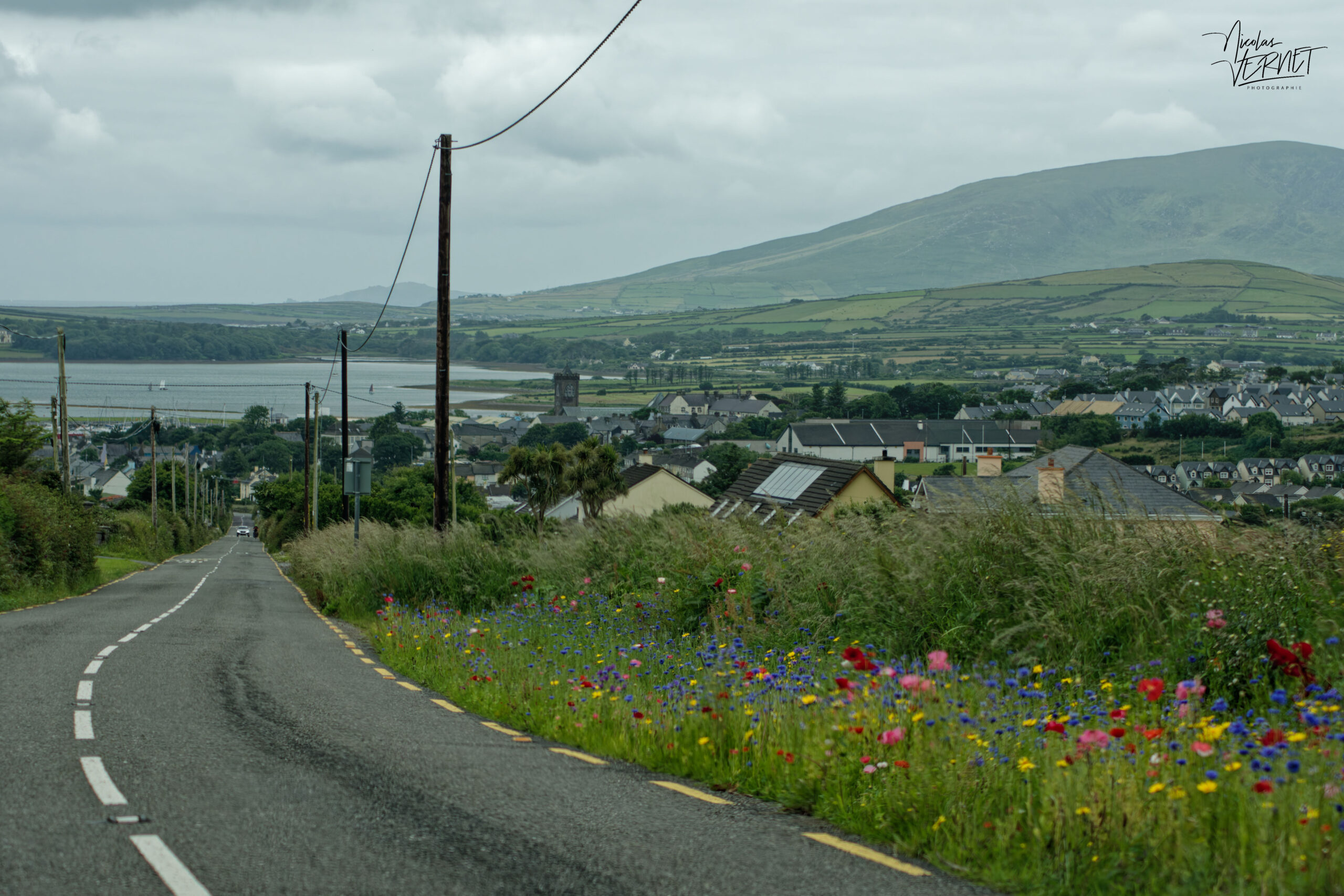 Vue sur Dingle depuis les hauteurs, Co. Kerry, Irlande
