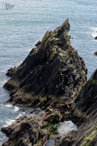 Éperon rocheux de Dunmore Head, Coumeenoole, Co. Kerry, Irlande