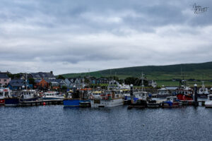 Port de Dingle et ses bateaux de pêche, Co. Kerry, Irlande
