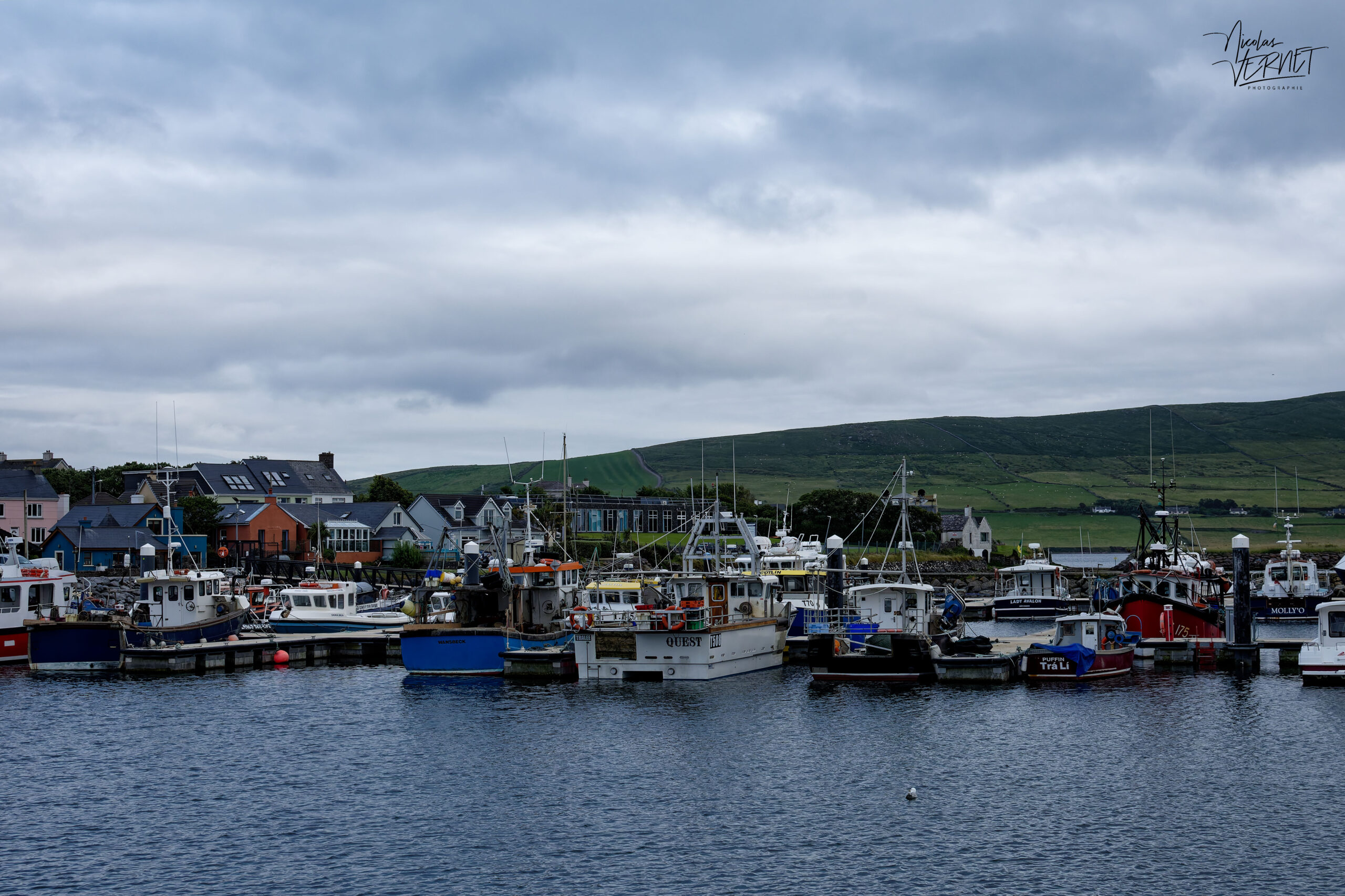 Port de Dingle et ses bateaux de pêche, Co. Kerry, Irlande