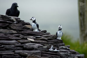 Sculpture oiseaux, Beehive Village, Foilnageragh, Co. Kerry, Irlande