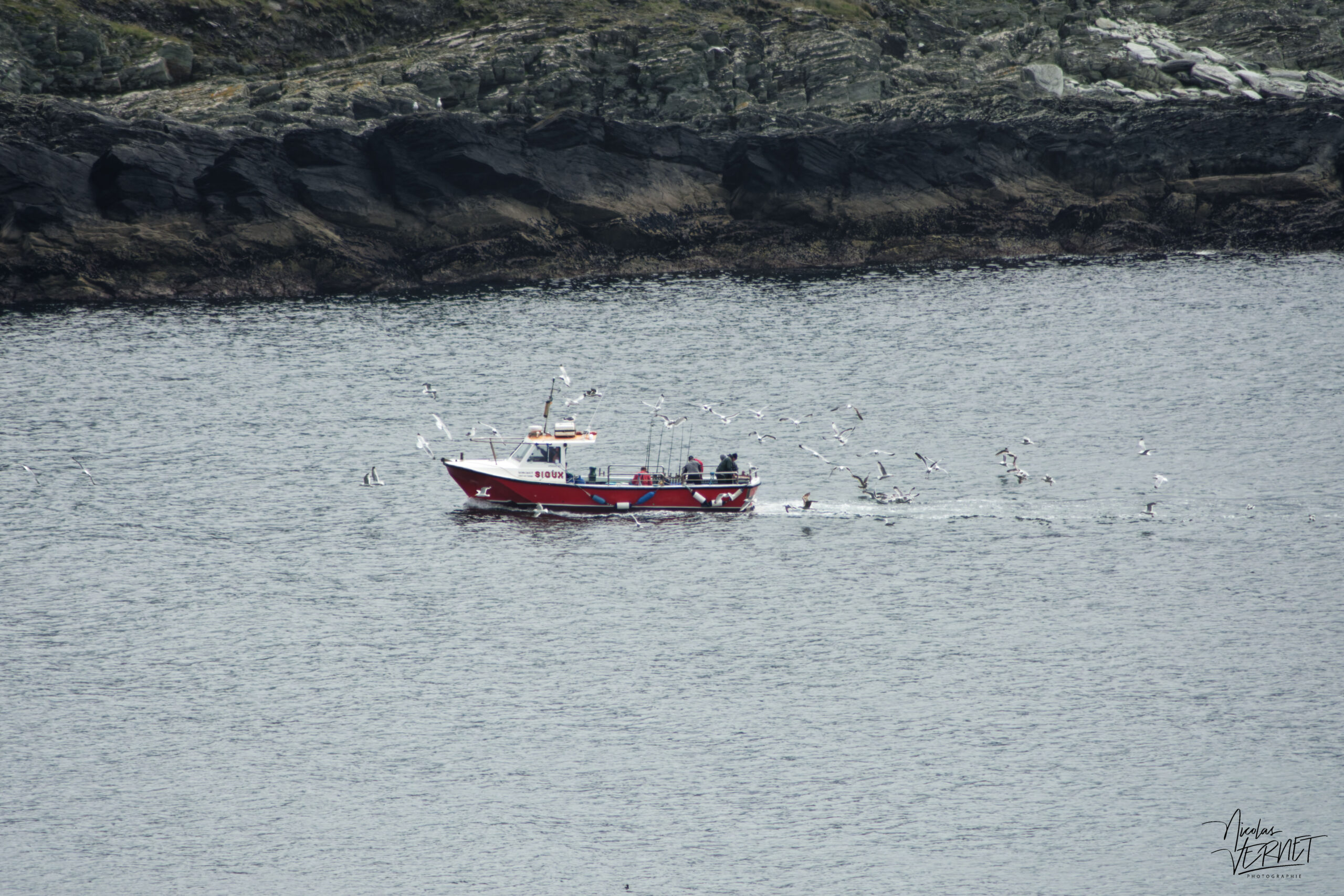 Bateau de pêche "Sioux" escorté par les goélands dans la baie de Foilhommerum, Valentina Island, Bray, Co. Kerry, Irlande