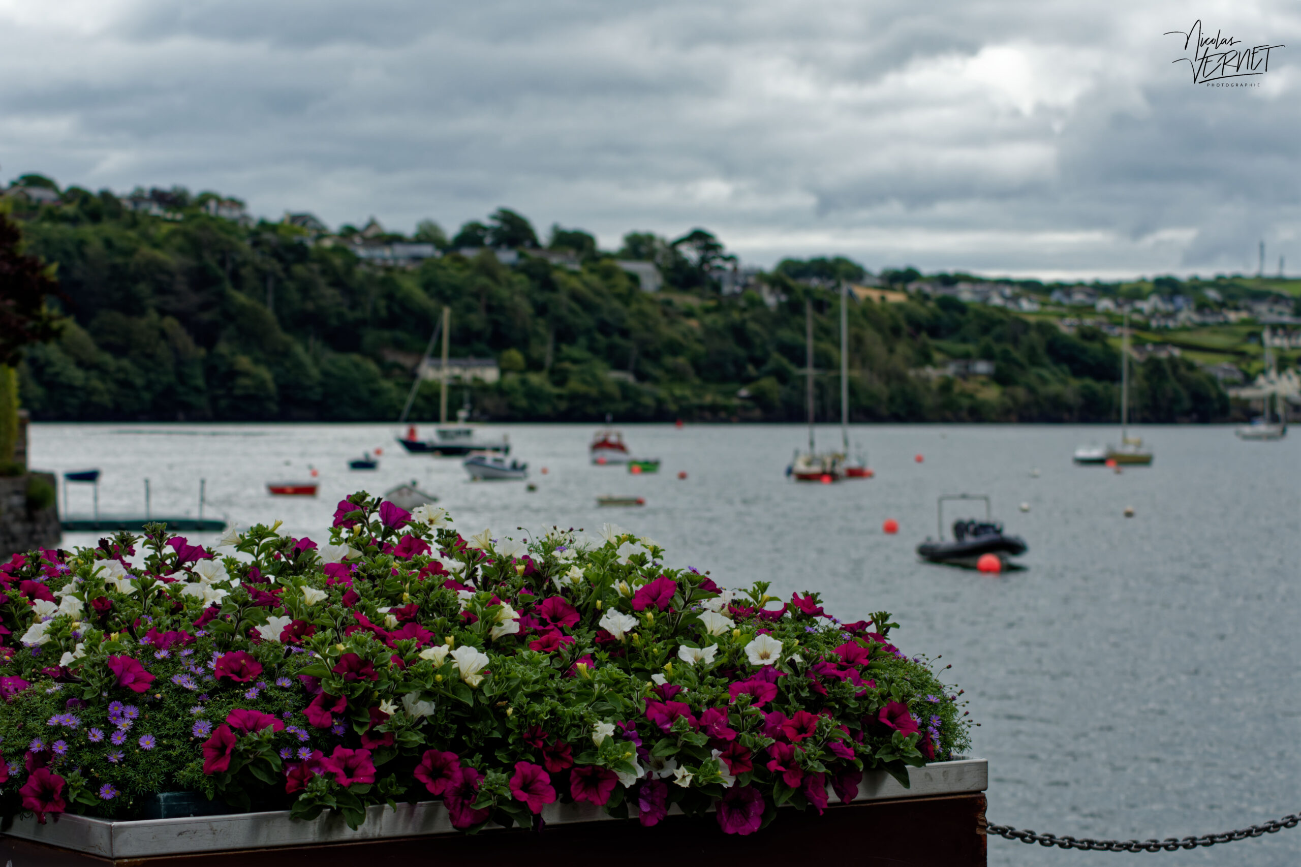 Bac fleuri dans le port de Kinsale, Co. Cork, Irlande
