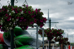 Suspensions fleuris dans le port de Kinsale, Co. Cork, Irlande