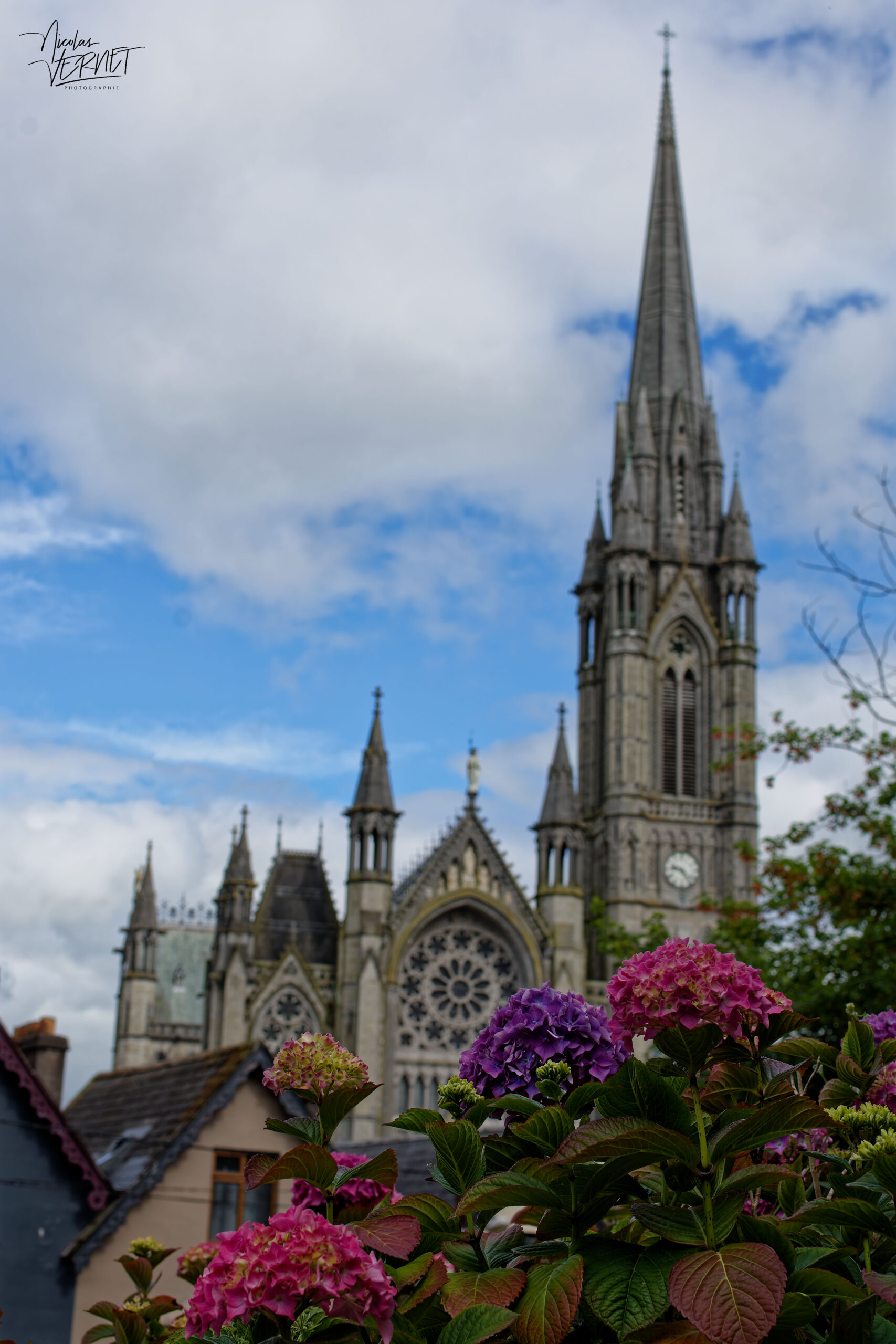 Cathédrale Saint-Colman de Cobh vue depuis "Deck of Cards", Cobh, Co. Cork, Irlande