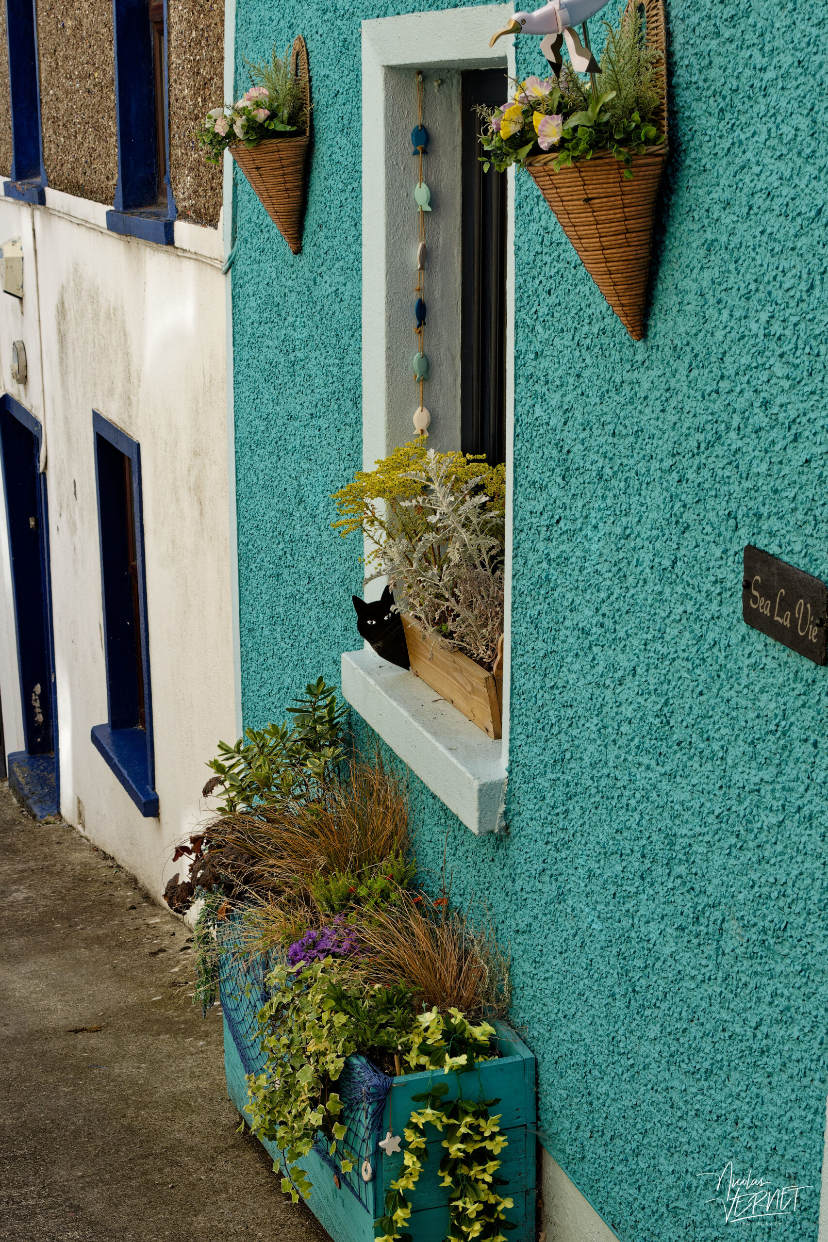 Maisons "Deck of Cards", Cobh, Co. Cork, Irlande
