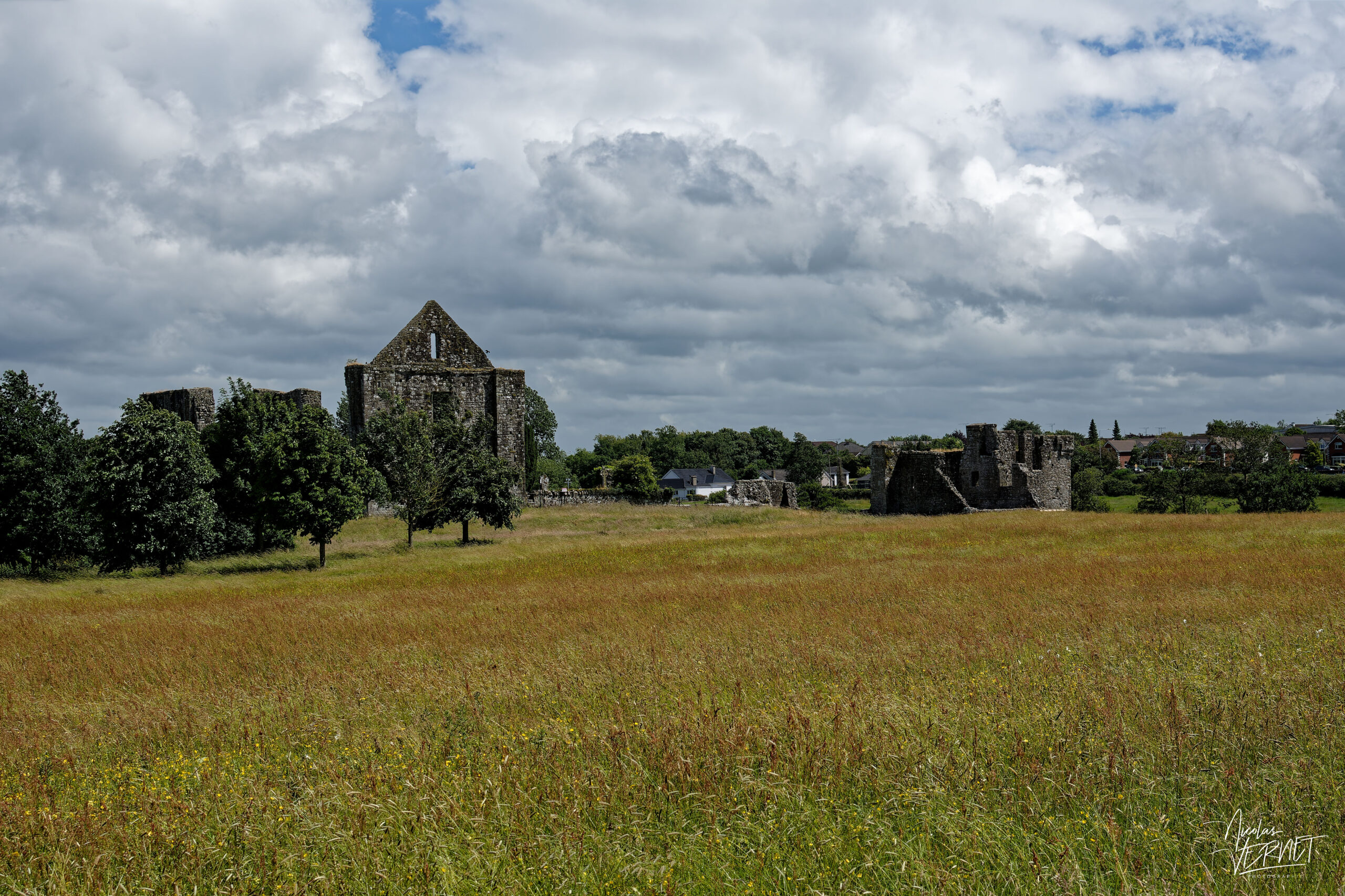 Cathedral of St. Peter and Paul, Trim, Co. Meath, Irlande