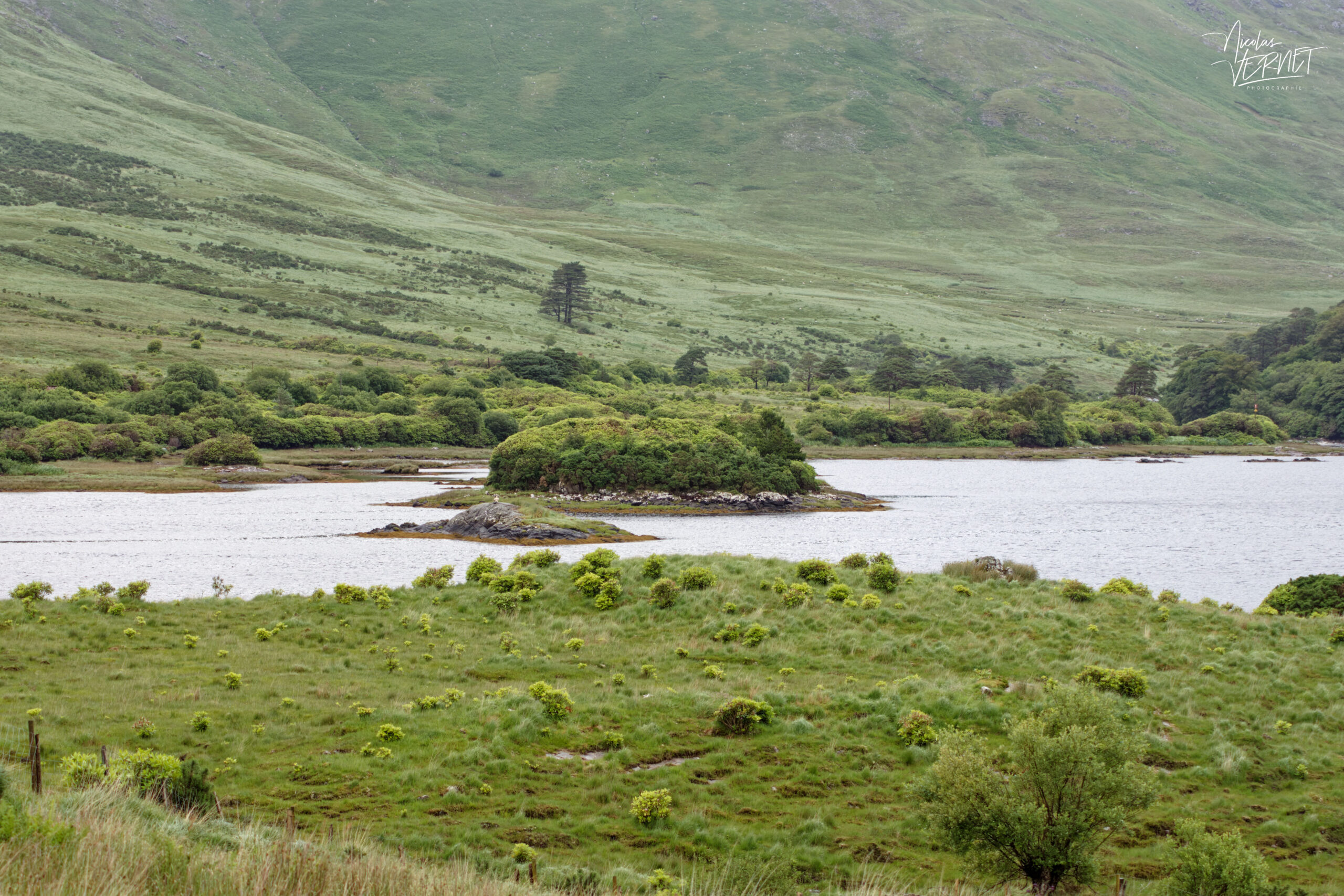 Fjord à Leenane, Co. Mayo, Irlande