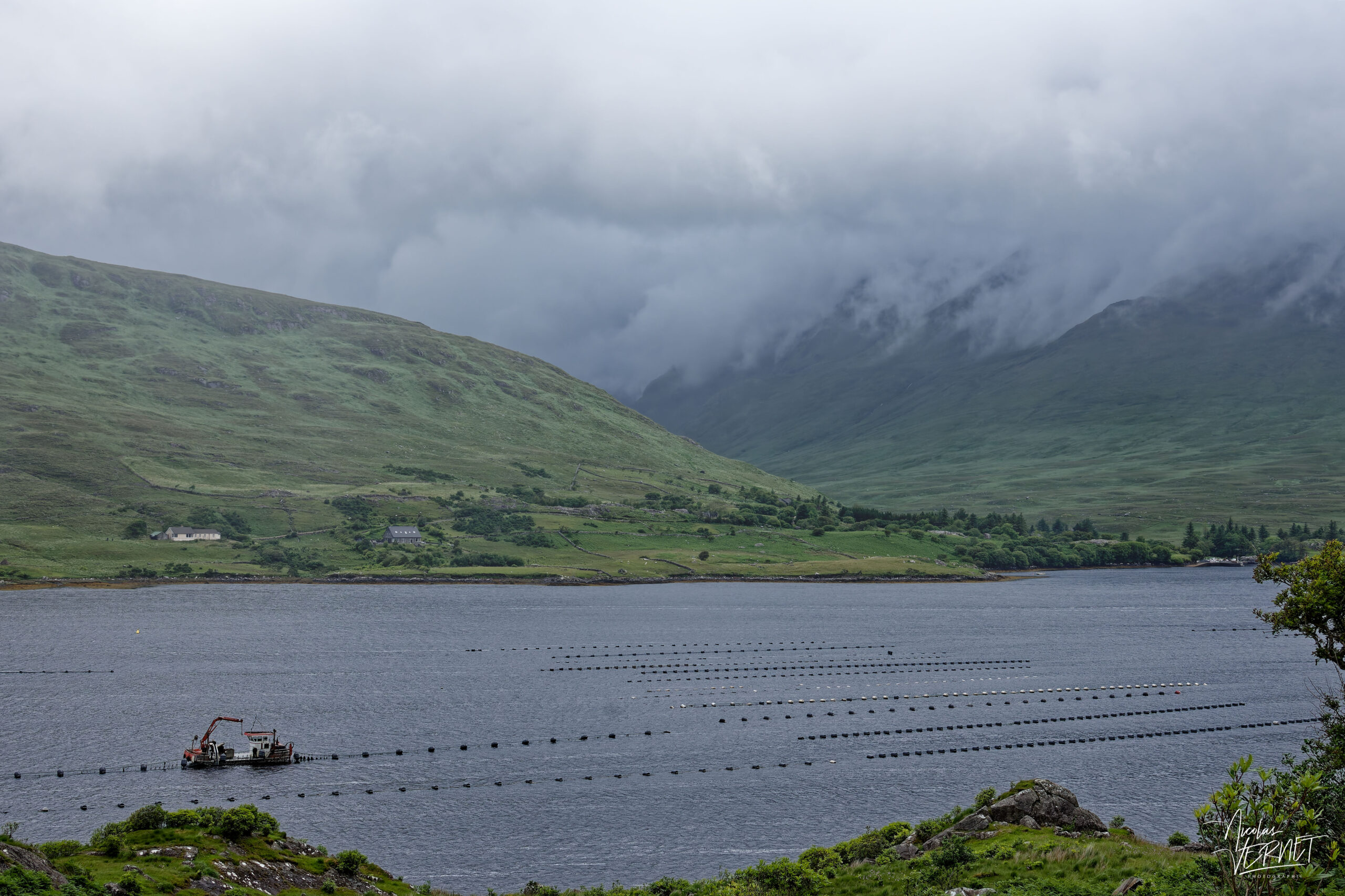 Fermes mytilicoles du fjord de Killary, Derrynacleigh, Co. Galway, Irlande