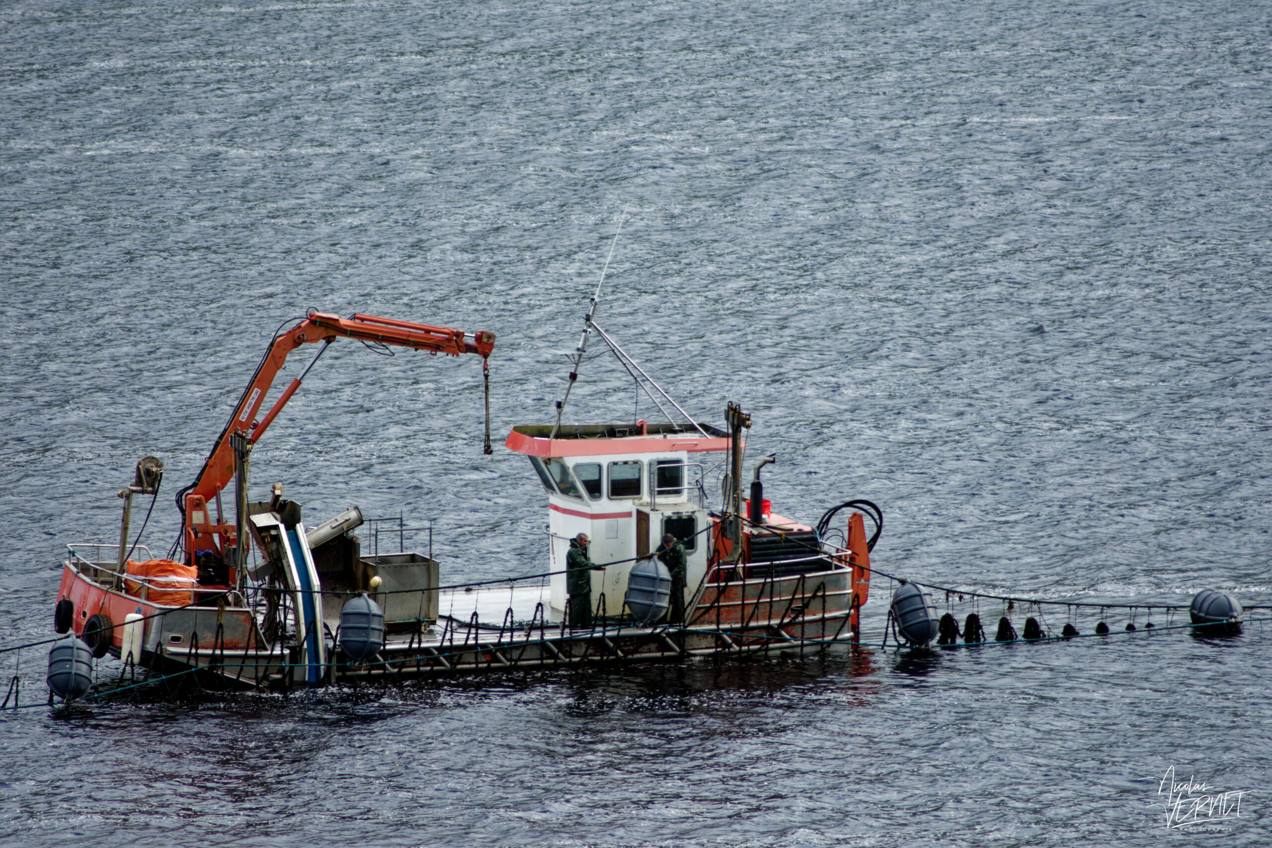 Chaland mytilicole dans le fjord de Killary, Derrynacleigh, Co. Galway, Irlande