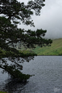 Lac de Pollacapall, Abbaye de Kylemore, Pollacappul, Co. Galway, Irlande