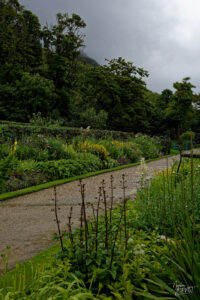 Allée et parterres de fleurs du jardin clos victorien, Abbaye de Kylemore, Pollacappul, Co. Galway, Irlande