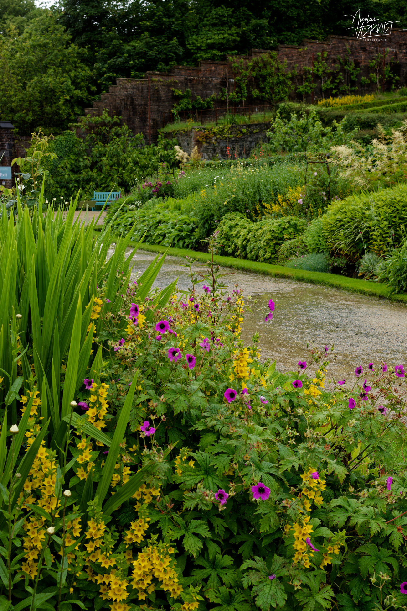 Allée et parterres de fleurs du jardin clos victorien, Abbaye de Kylemore, Pollacappul, Co. Galway, Irlande