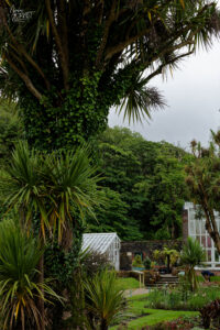 Jardin clos victorien avec ses serres, Abbaye de Kylemore, Pollacappul, Co. Galway, Irlande