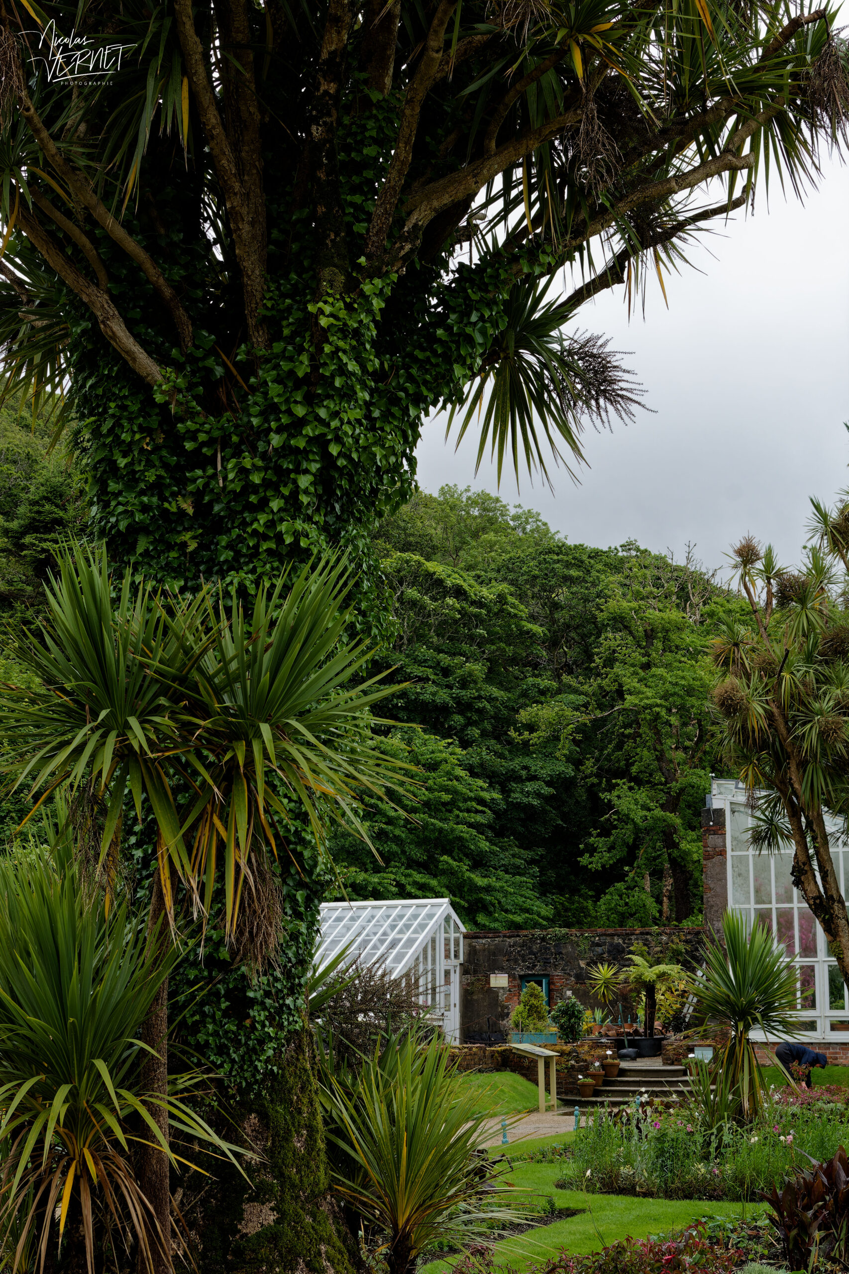 Jardin clos victorien avec ses serres, Abbaye de Kylemore, Pollacappul, Co. Galway, Irlande