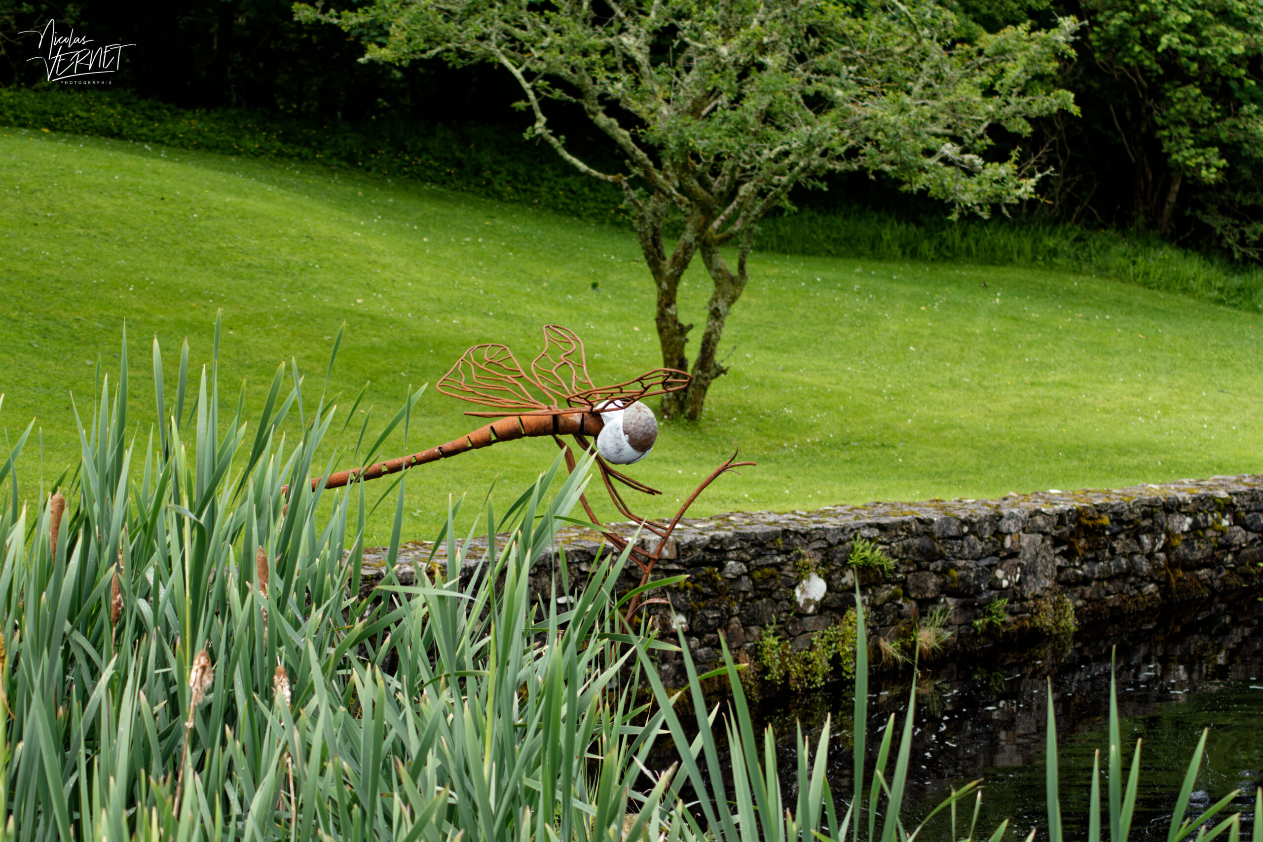 Sculpture en fer d'une libellule, Letterfrack, Co. Galway, Irlande