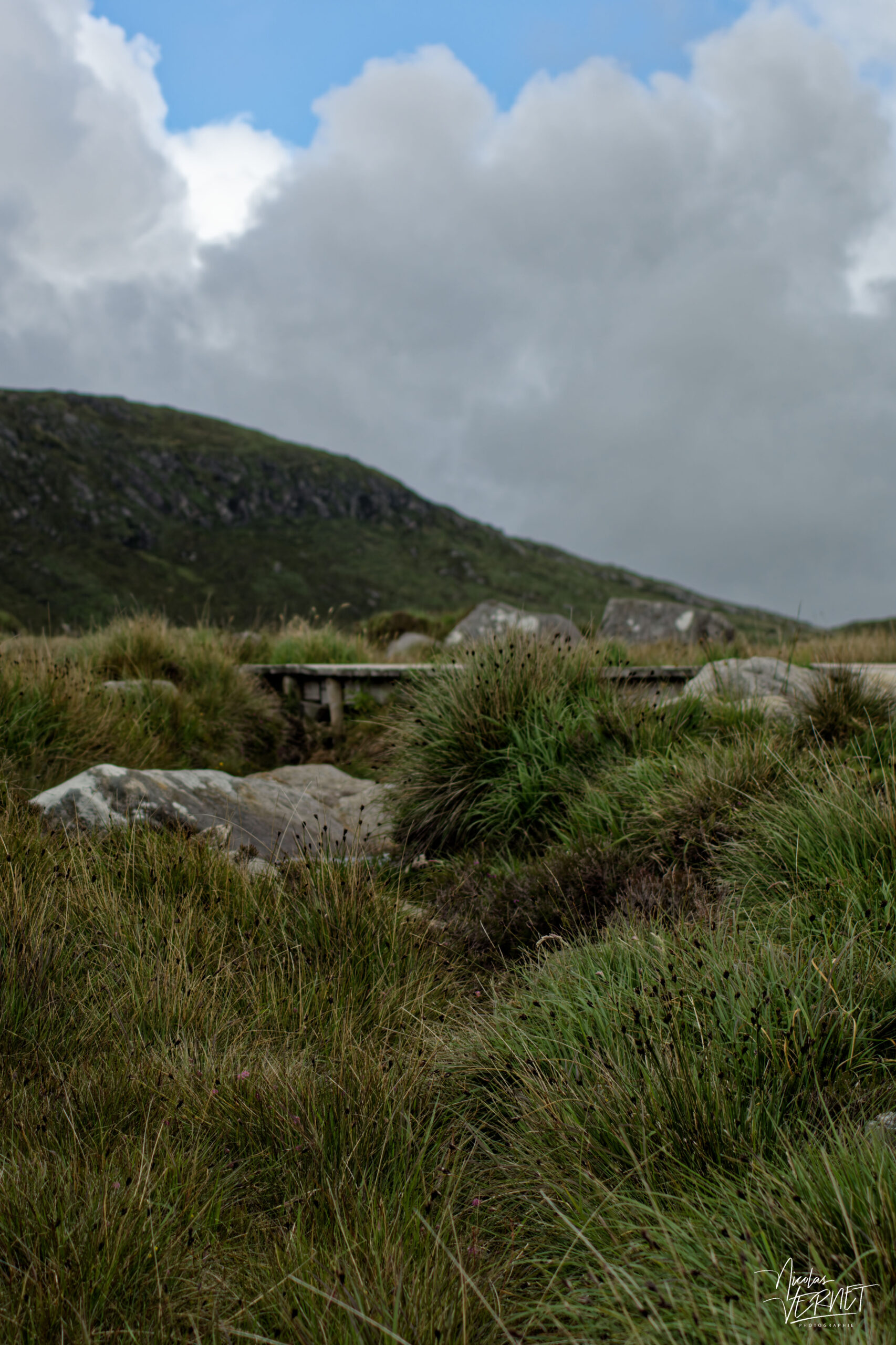 Sentier aménagé en bois, Diamond Hill, Letterfrack, Co. Galway, Irlande