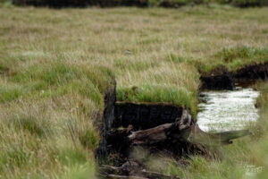 Site d'extraction de tourbe révélant du bois fossilisé dans la tourbière, Shinnanagh, Co. Galway, Irlande