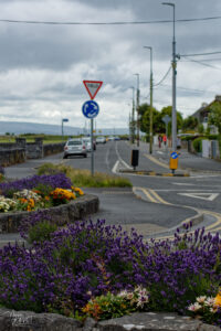 Décoration fleurie dans le port de Galway, Irlande