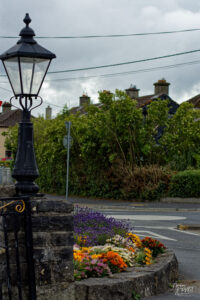 Décoration fleurie dans le port de Galway, Irlande