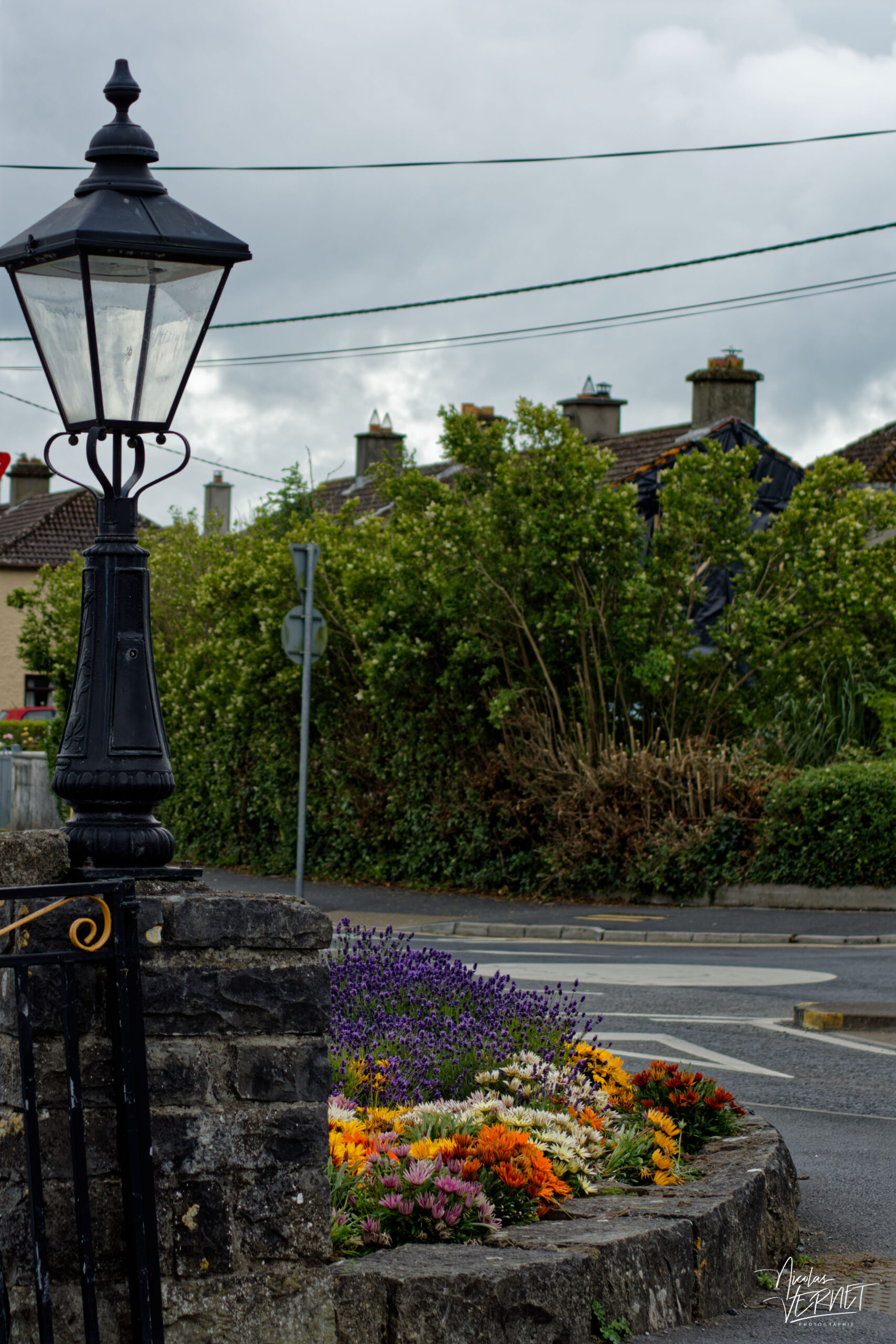 Décoration fleurie dans le port de Galway, Irlande